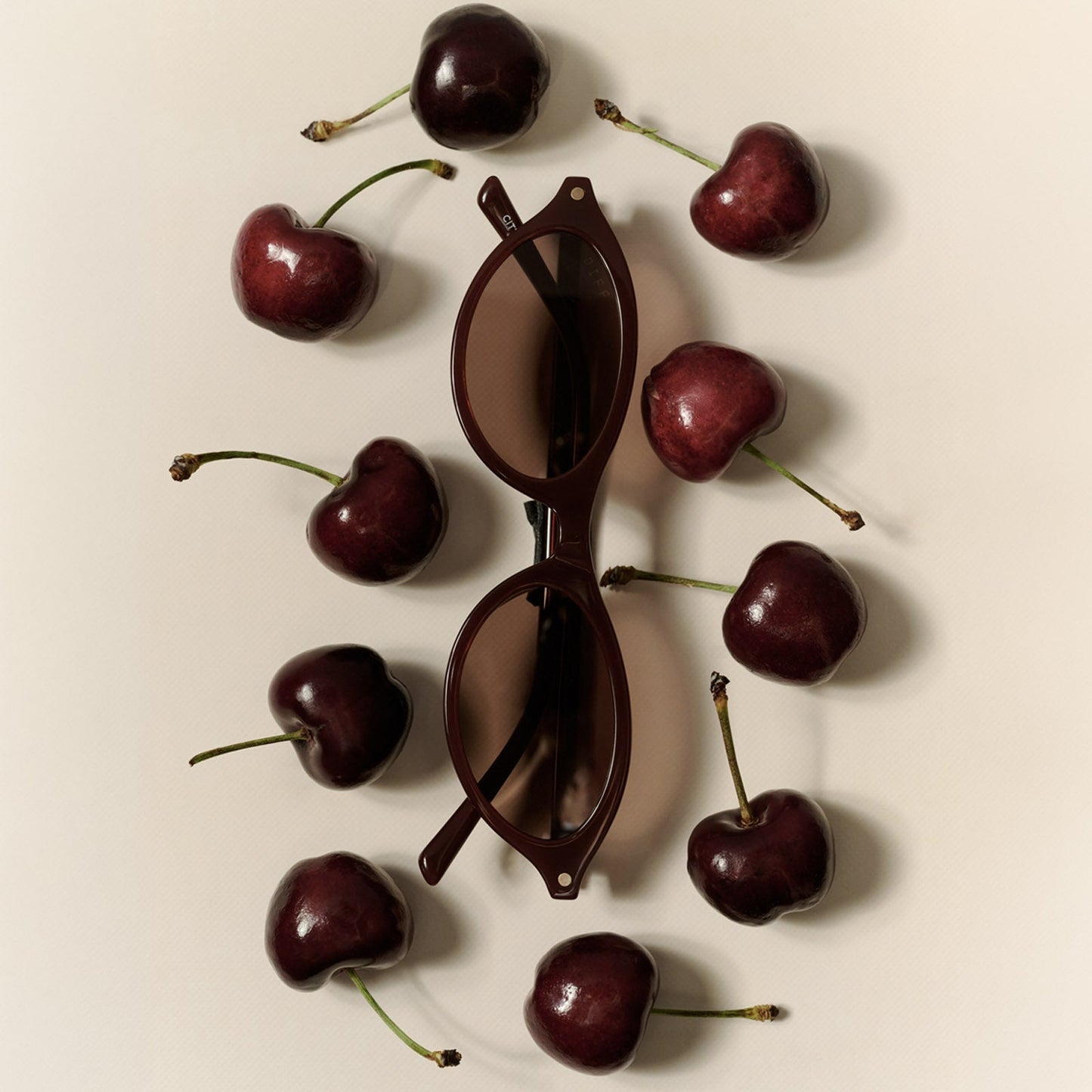 THE CITY - RICH BROWN CRYSTAL + BROWN + SUNGLASSES