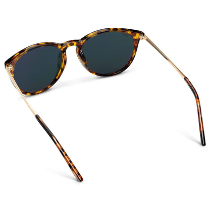 Drew | Polarized