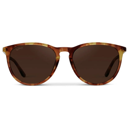 Drew | Polarized